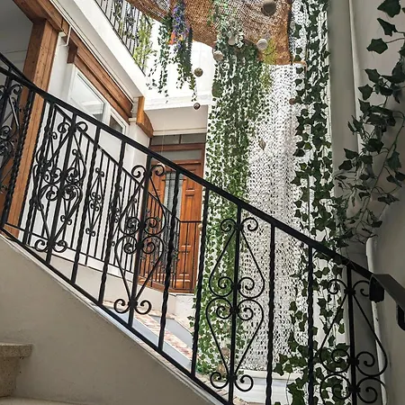 Apartamento Saint Jean 2 Cosy Et Confort Classe 3 Etoiles